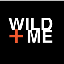 Wild+me